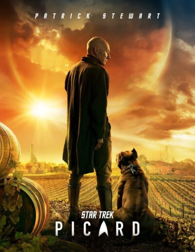 Star Trek Picard (Poster)